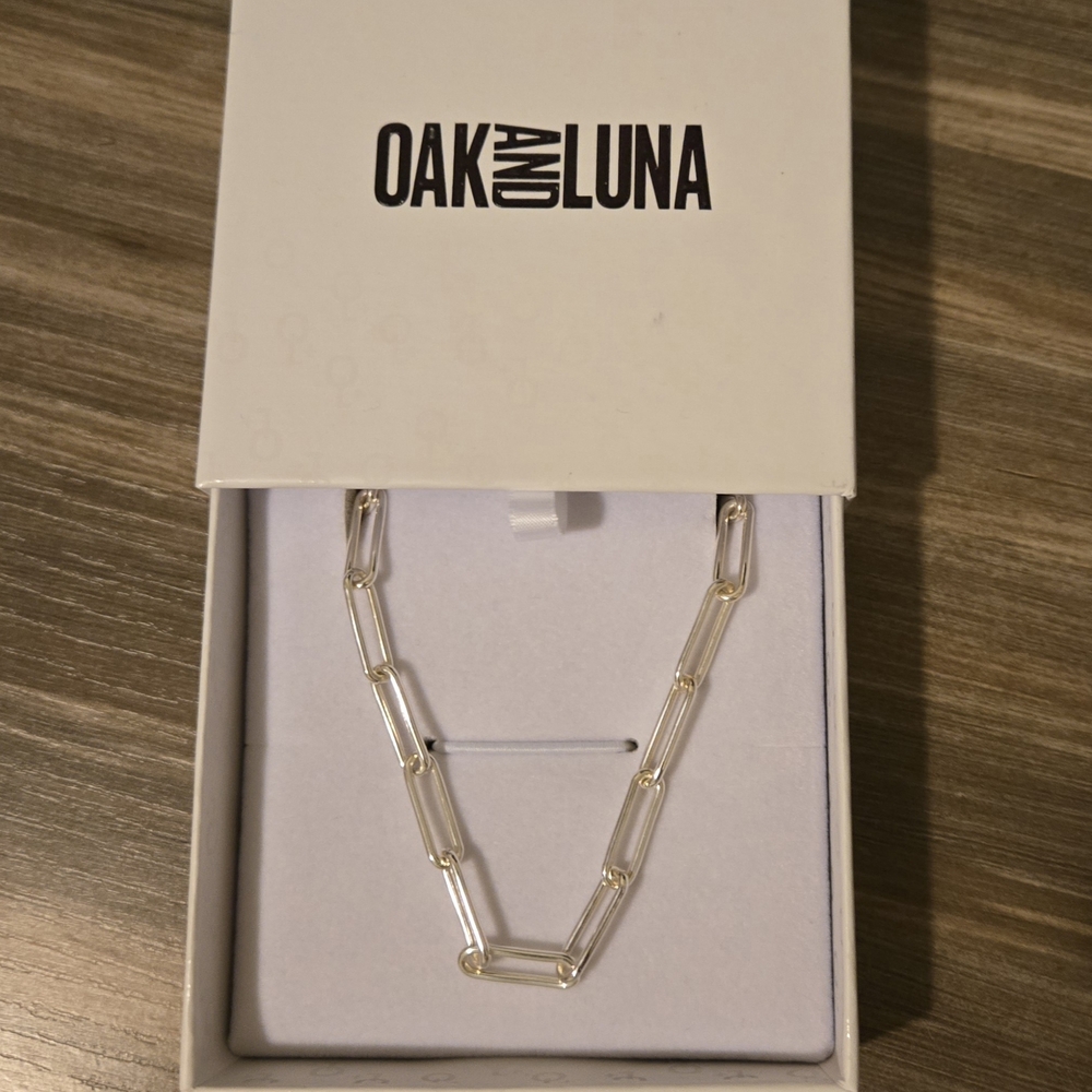 NEW Oak and Luna Large Paperclip Chain Necklace - Silver